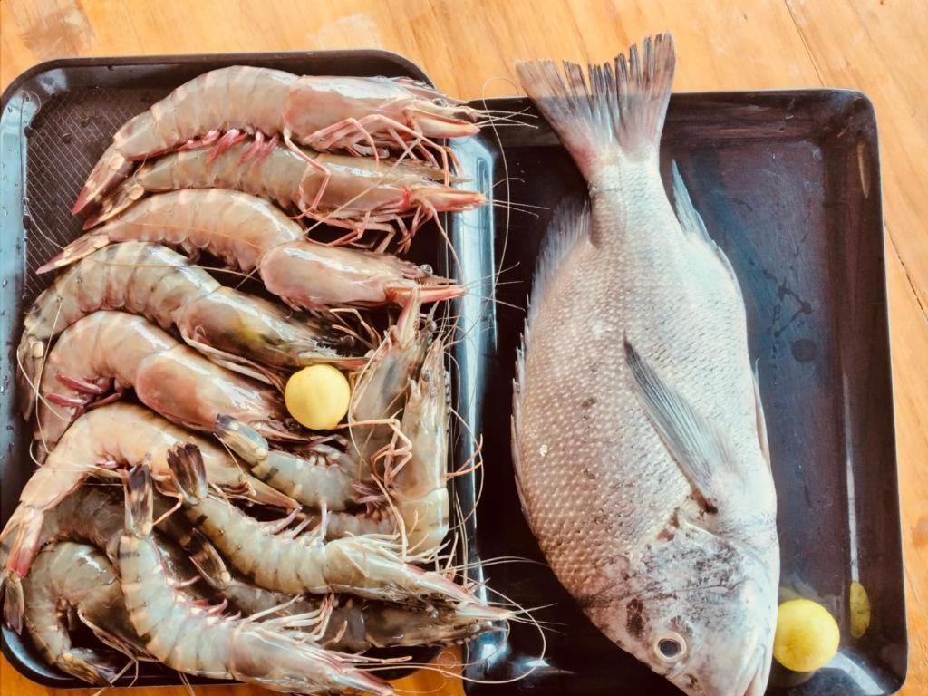 马哈巴利普拉姆 Catch A Wave酒店 外观 照片